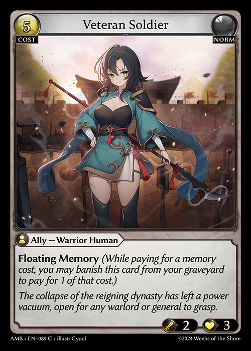 [Norm] Veteran Soldier [AMB-089-C]