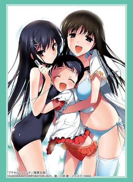 Bushiroad Sleeve Collection HG Vol.3952 Dengeki Bunko Accel World [Kuroyukihime/ Fuko Kurasaki / Utai Shinomiya]