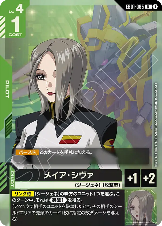 [EB01-065 R] Meir Siva