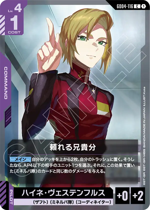 [GD04-116 C] Reliable Big Brother