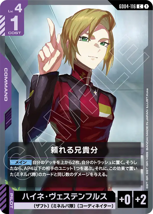 [GD04-116 C] Reliable Big Brother
