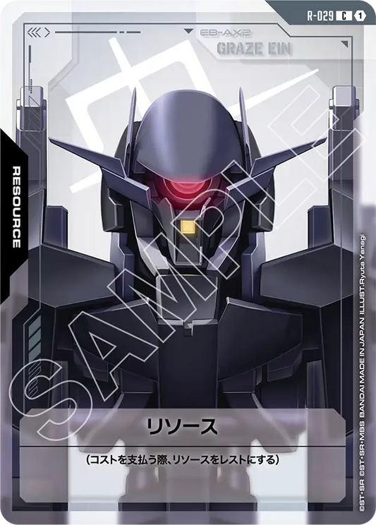 [R-029 R] Resource