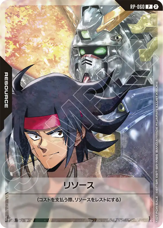 [RP-060 P] Resource