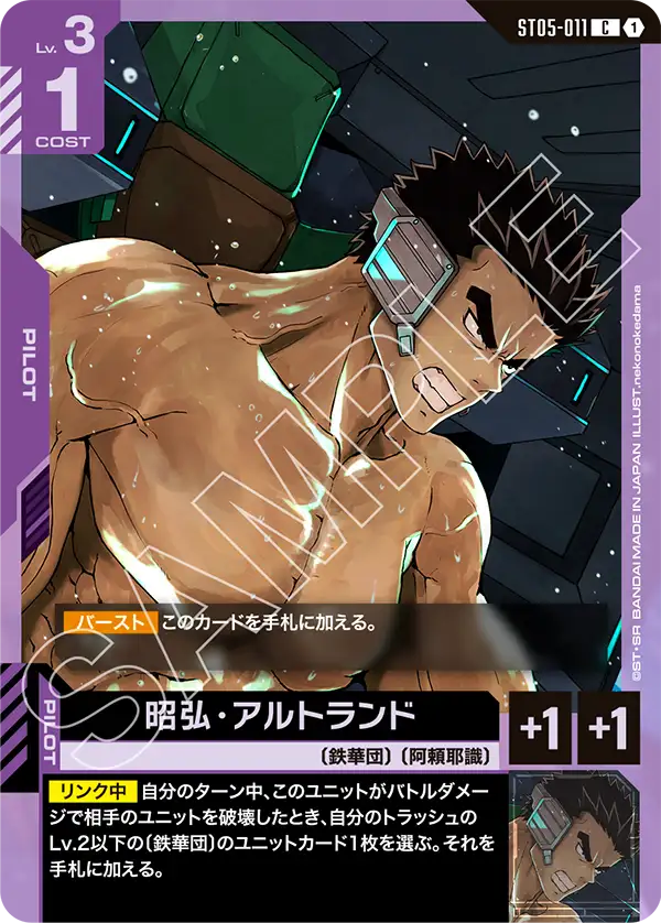 [ST05-011 C] Akihiro Altland