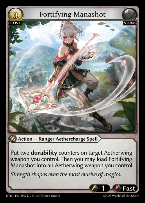[Norm] Fortifying Manashot [DTR-065-C]
