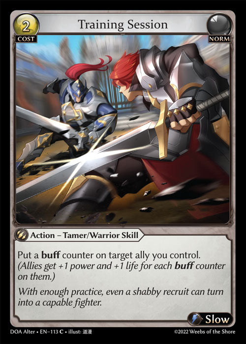[Norm] Training Session FOIL [DOA Alter-113-C]