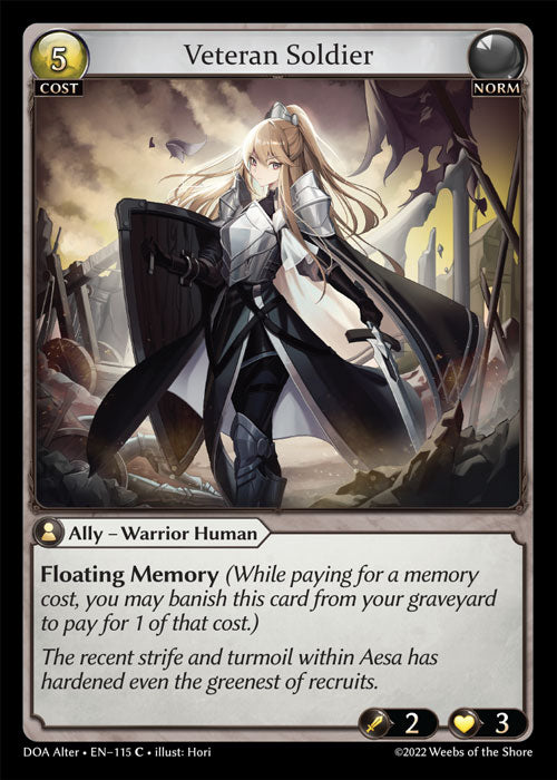 [Norm] Veteran Soldier [DOA Alter-115-C]